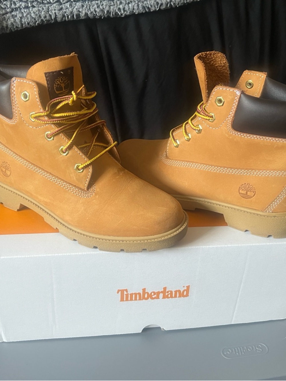 Timberland Classic 6 IN Lace Waterproof Wheat